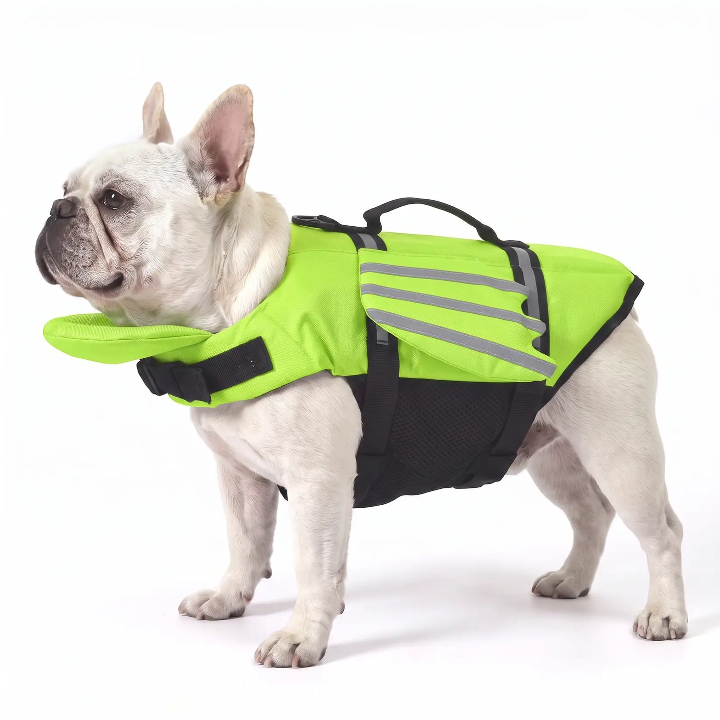 Bark’n’Buoy™ Head-Up Dog Life Jacket