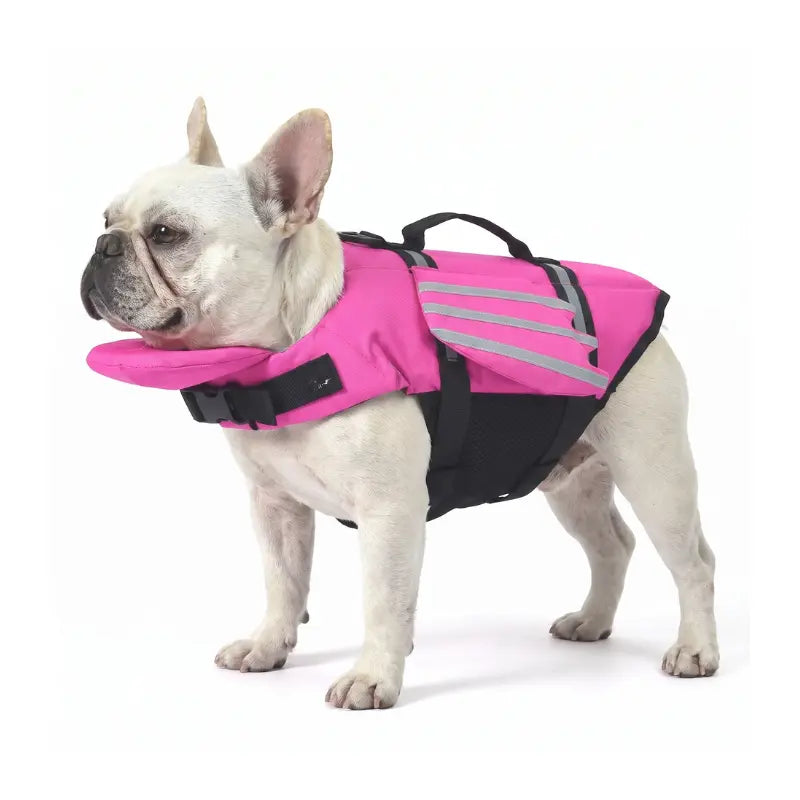 Bark’n’Buoy™ Head-Up Dog Life Jacket