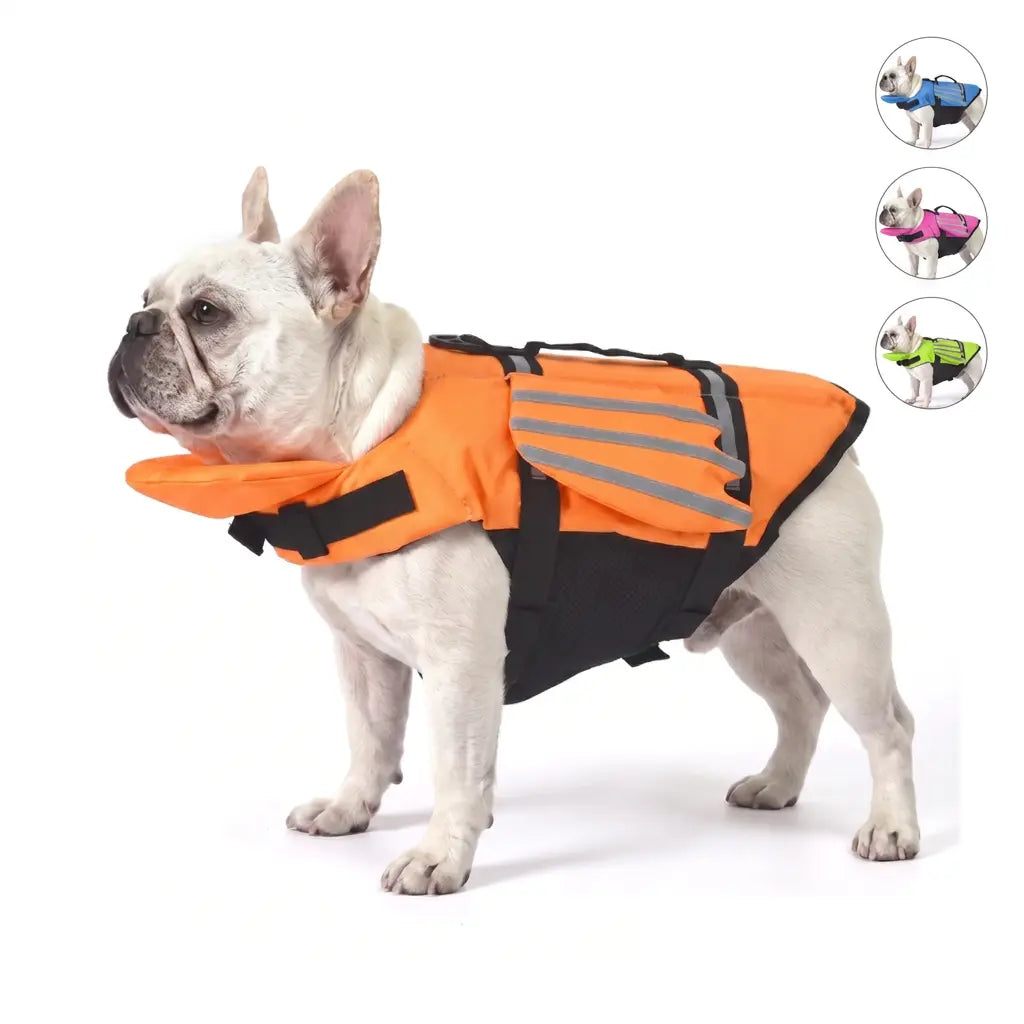 Bark’n’Buoy™ Head-Up Dog Life Jacket